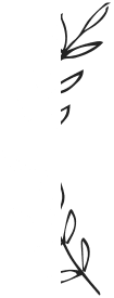 leaf-01.png