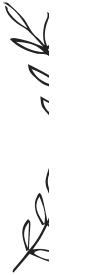 leaf-02.png