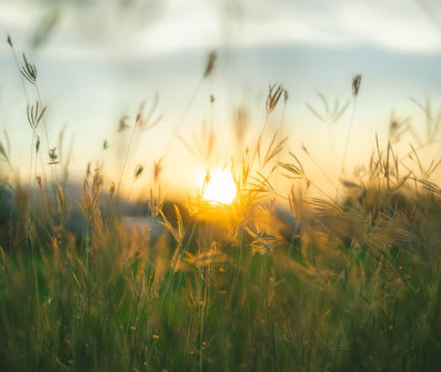 AdobeStock_240697095 AdobeStock_240697095