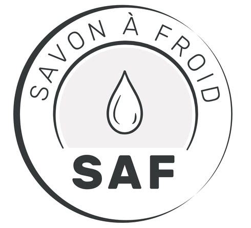 SAF-definitif_page-0001 (1) SAF-definitif_page-0001 (1)