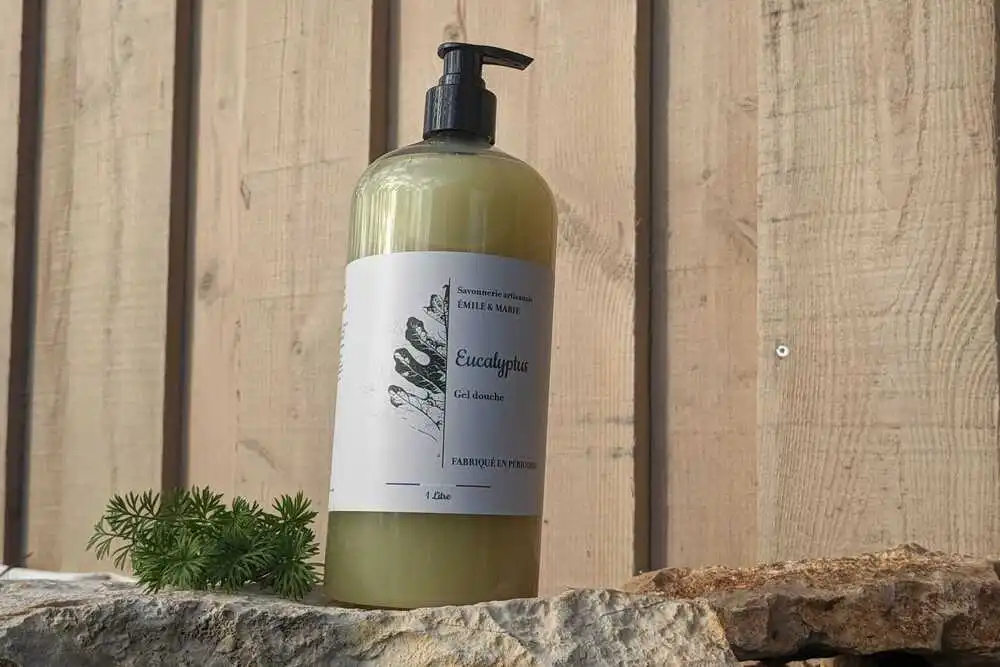 WhatsApp Image 2025-12-12 à 15.1 (2)